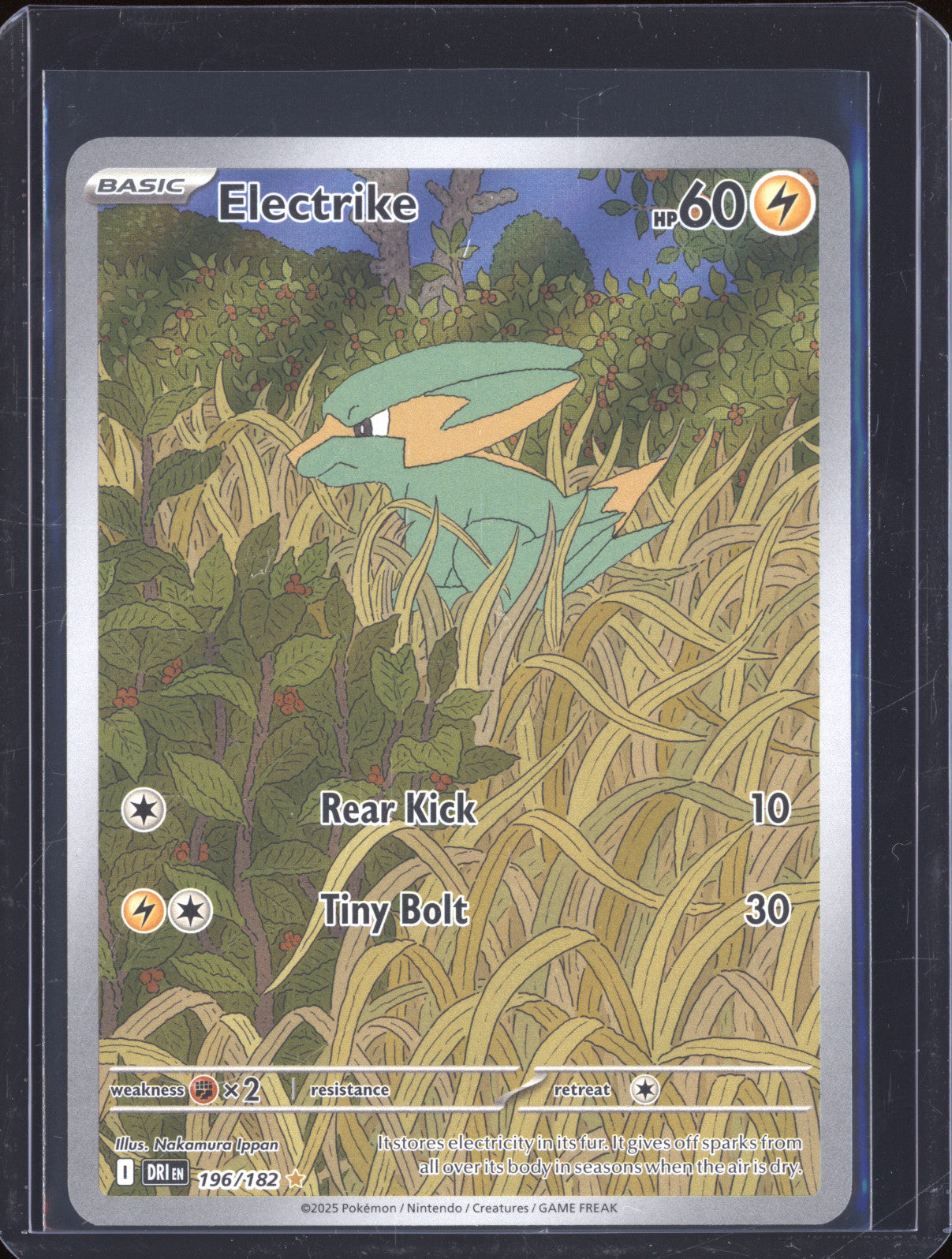 Electrike 2025 Pokemon Destined Rivals DRI 196/182 Illustration Rare