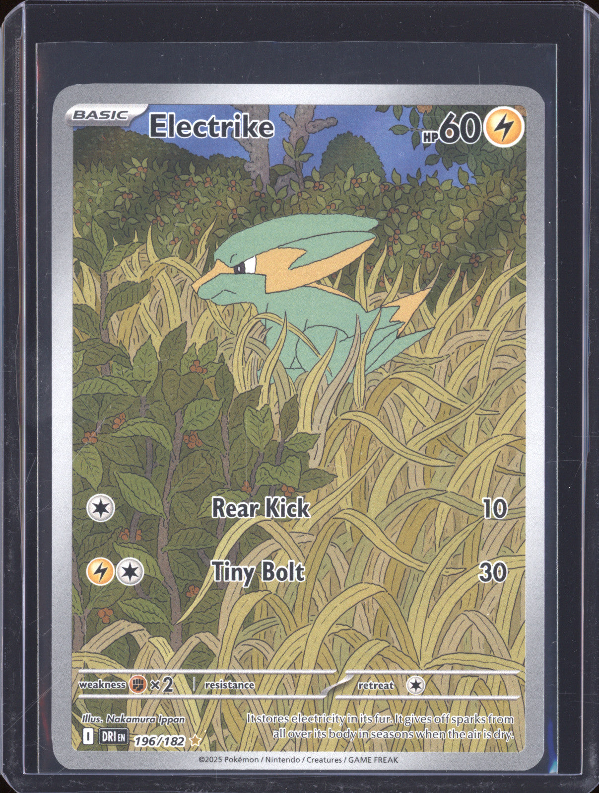 Electrike 2025 Pokemon Destined Rivals DRI 196/182 Illustration Rare