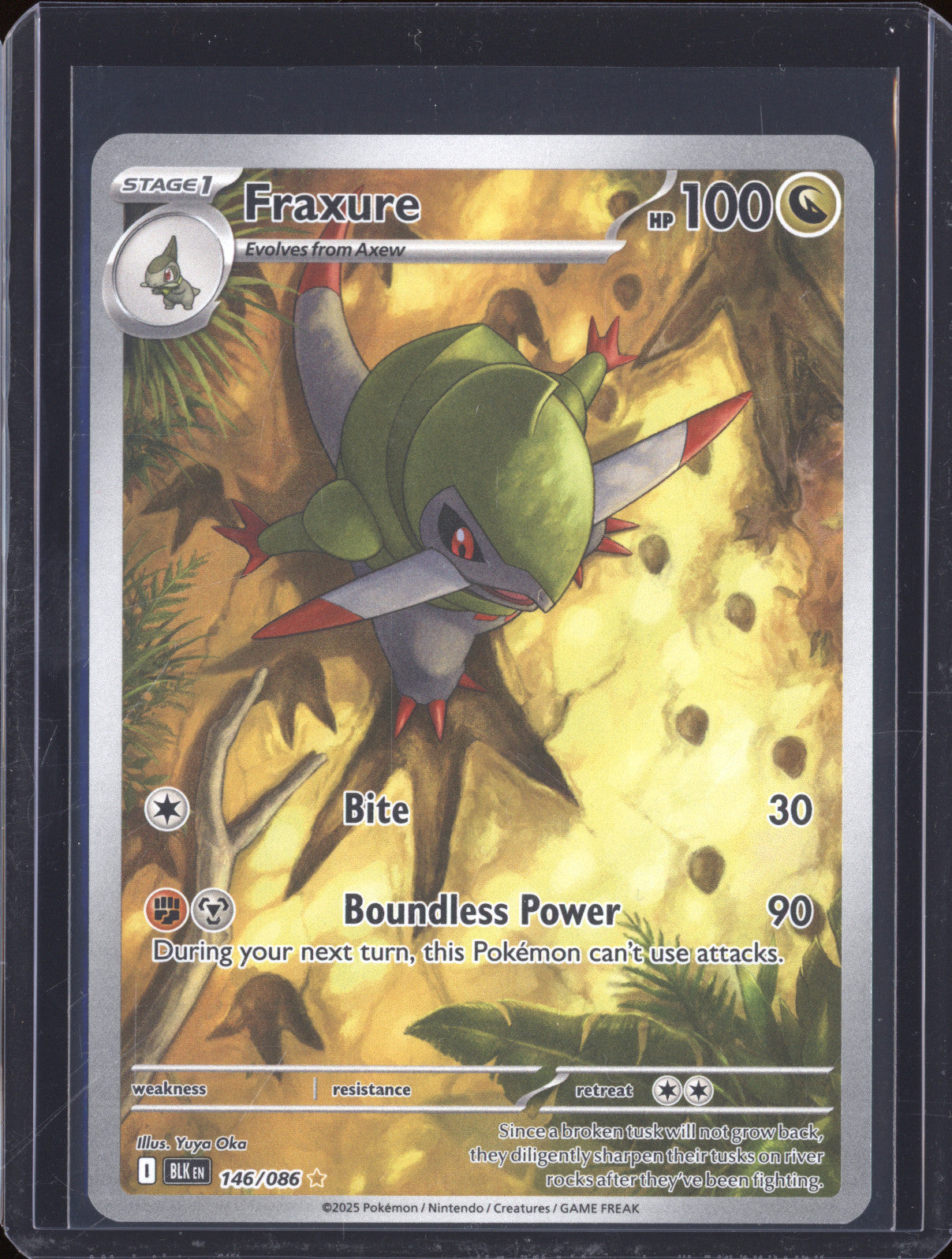 Fraxure 2025 Pokemon Black Bolt BLK 146/086 Illustration Rare