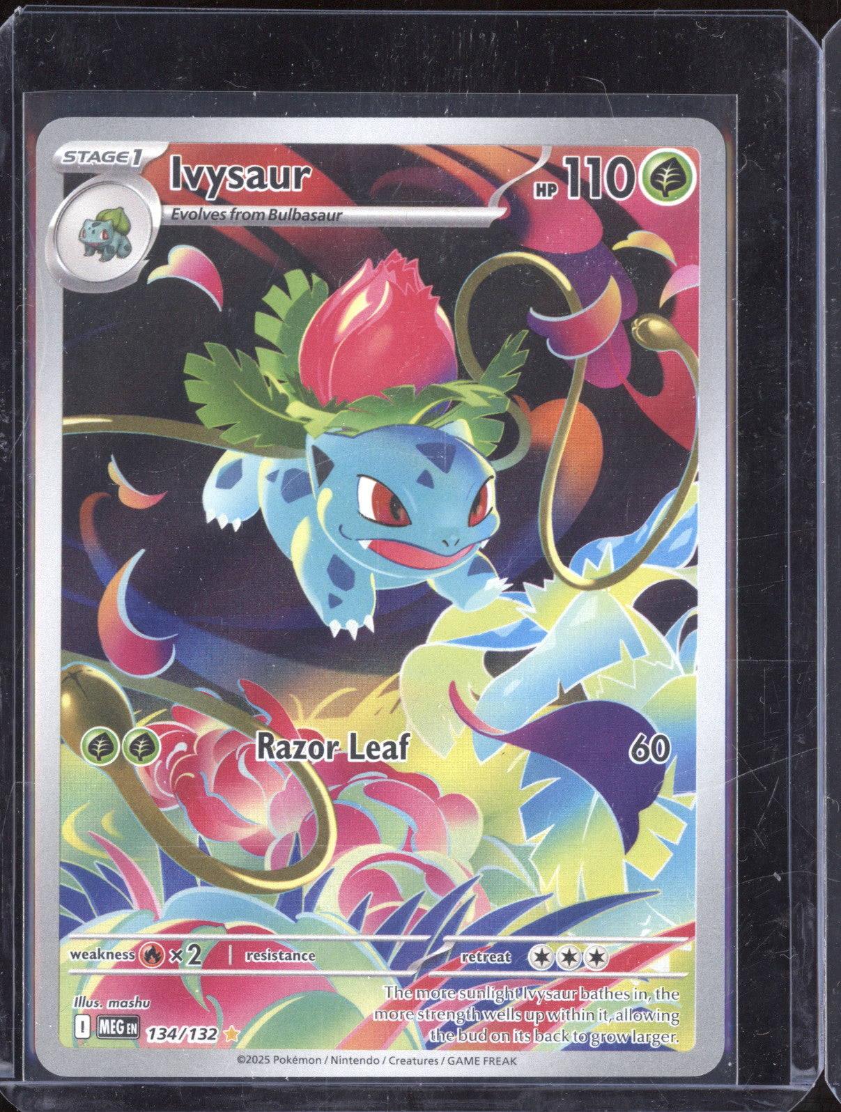 Ivysaur 134/132 Illustration Rare Mega Evolution Pokemon