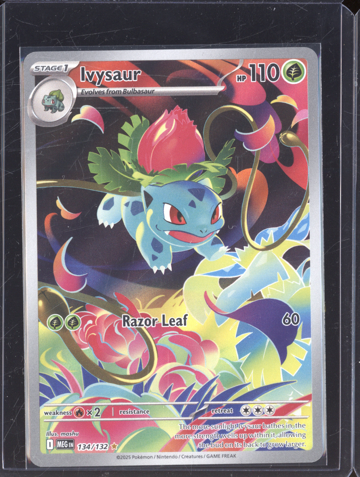 2025 Pokemon Mega Evolutions 134/132 Ivysaur Illustration Rare
