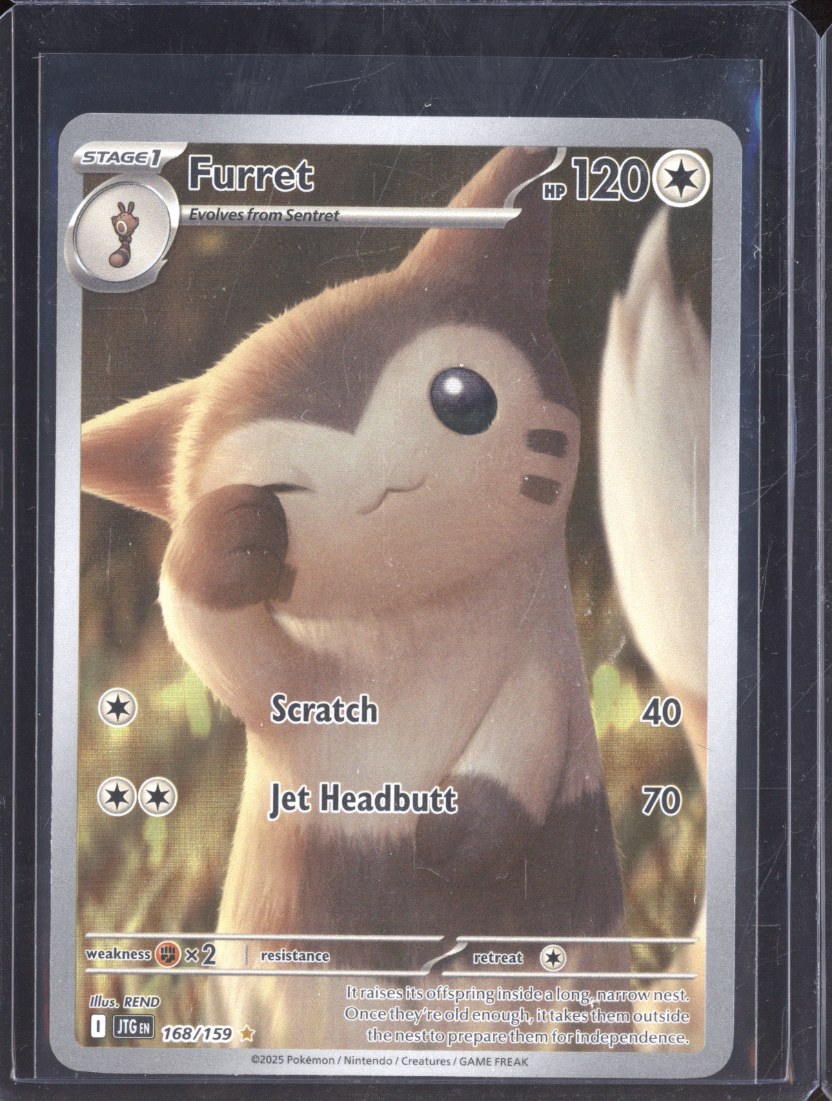 2025 Pokemon Journey Together 168/159 Furret Illustration Rare