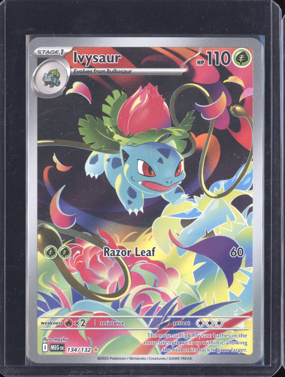 Ivysaur 134/132 Illustration Rare Mega Evolution Pokemon