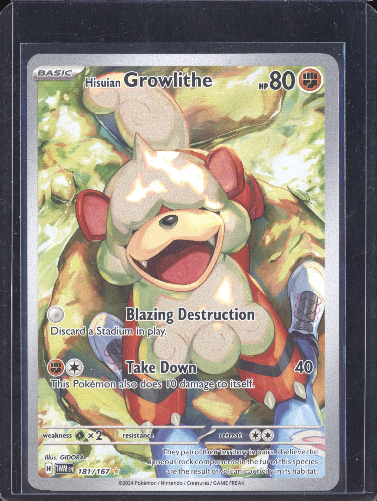 Hisuian Growlithe 2024 Pokemon Twilight Masquerade 181/167 Illustration Rare