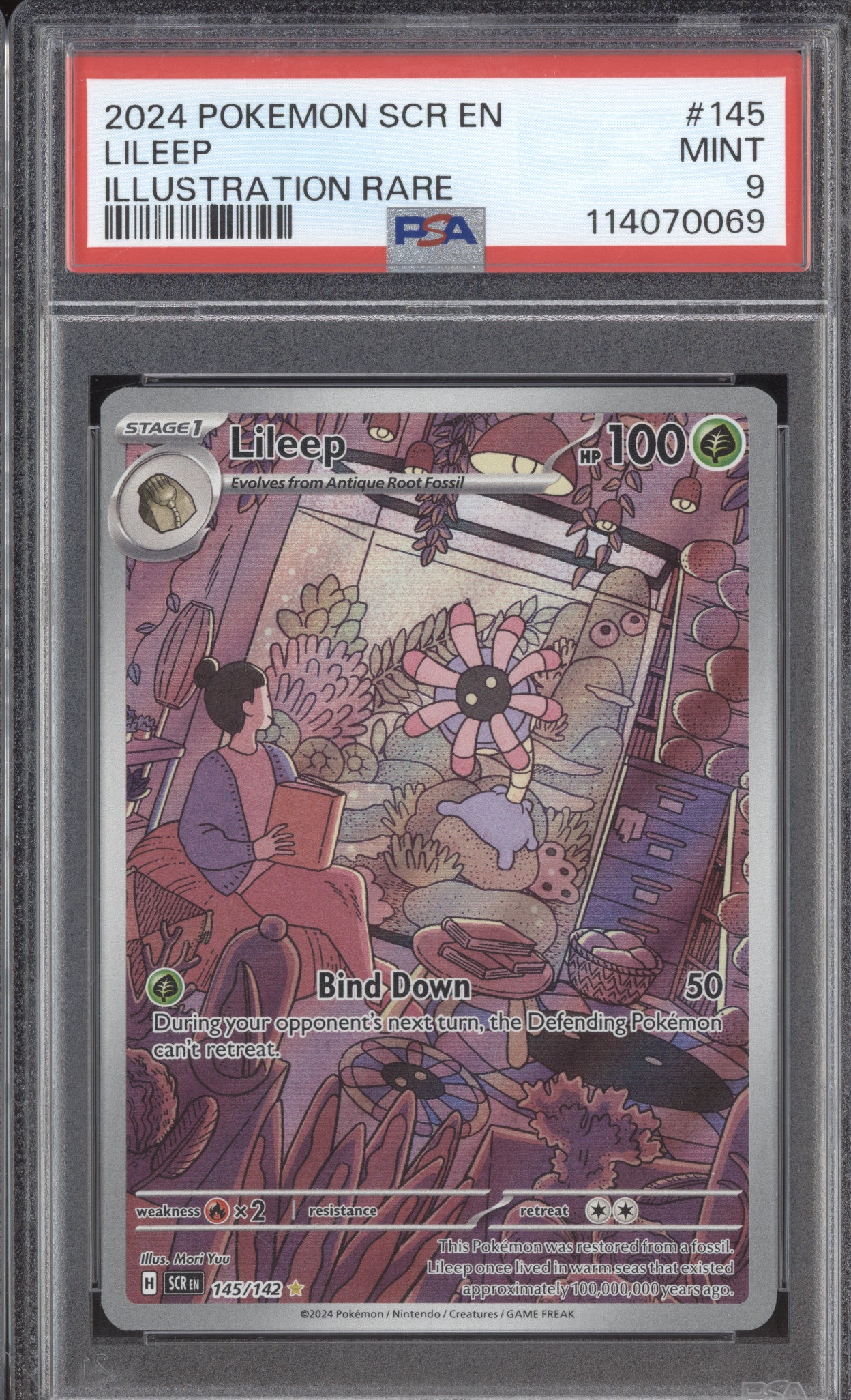 Lileep 2024 Pokemon Stellar Crown SCR 145/142 Illustration Rare PSA 9