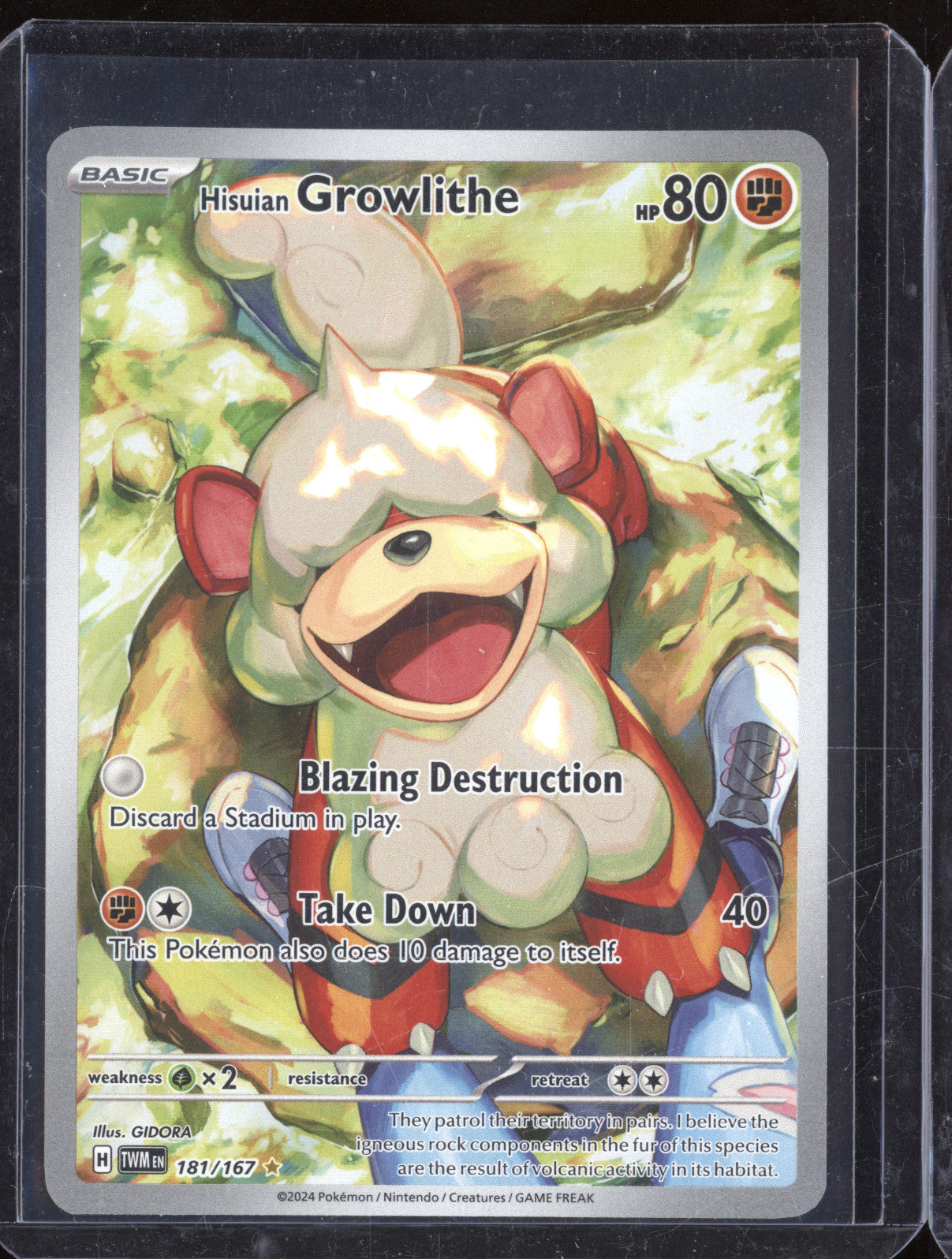 Hisuian Growlithe 2024 Pokemon Twilight Masquerade TWM 181/167 Illustration Rare