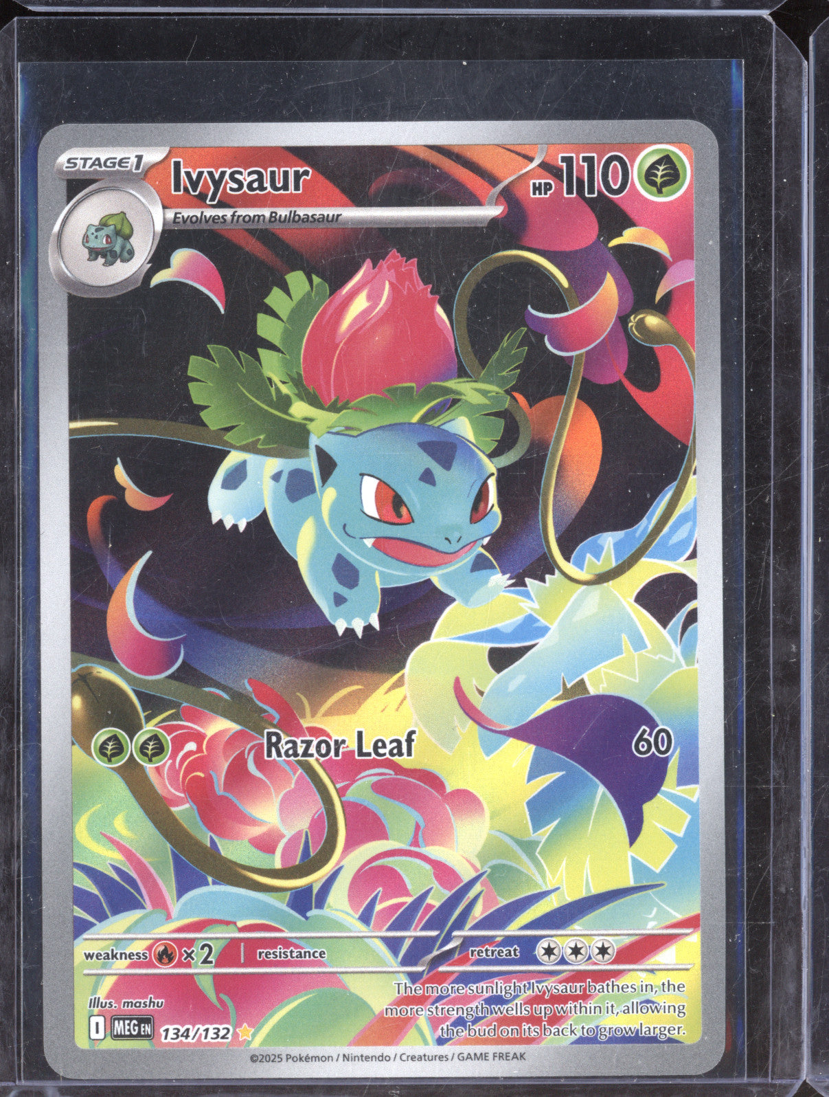 Ivysaur 134/132 Illustration Rare Mega Evolution Pokemon