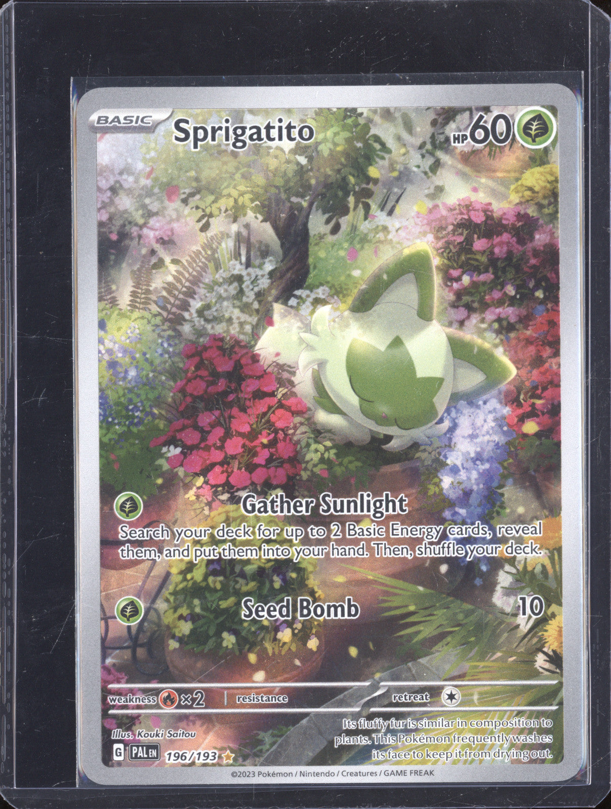 2023 Pokemon Paldea Evolved PAL 196/193 Sprigatito Illustration Rare