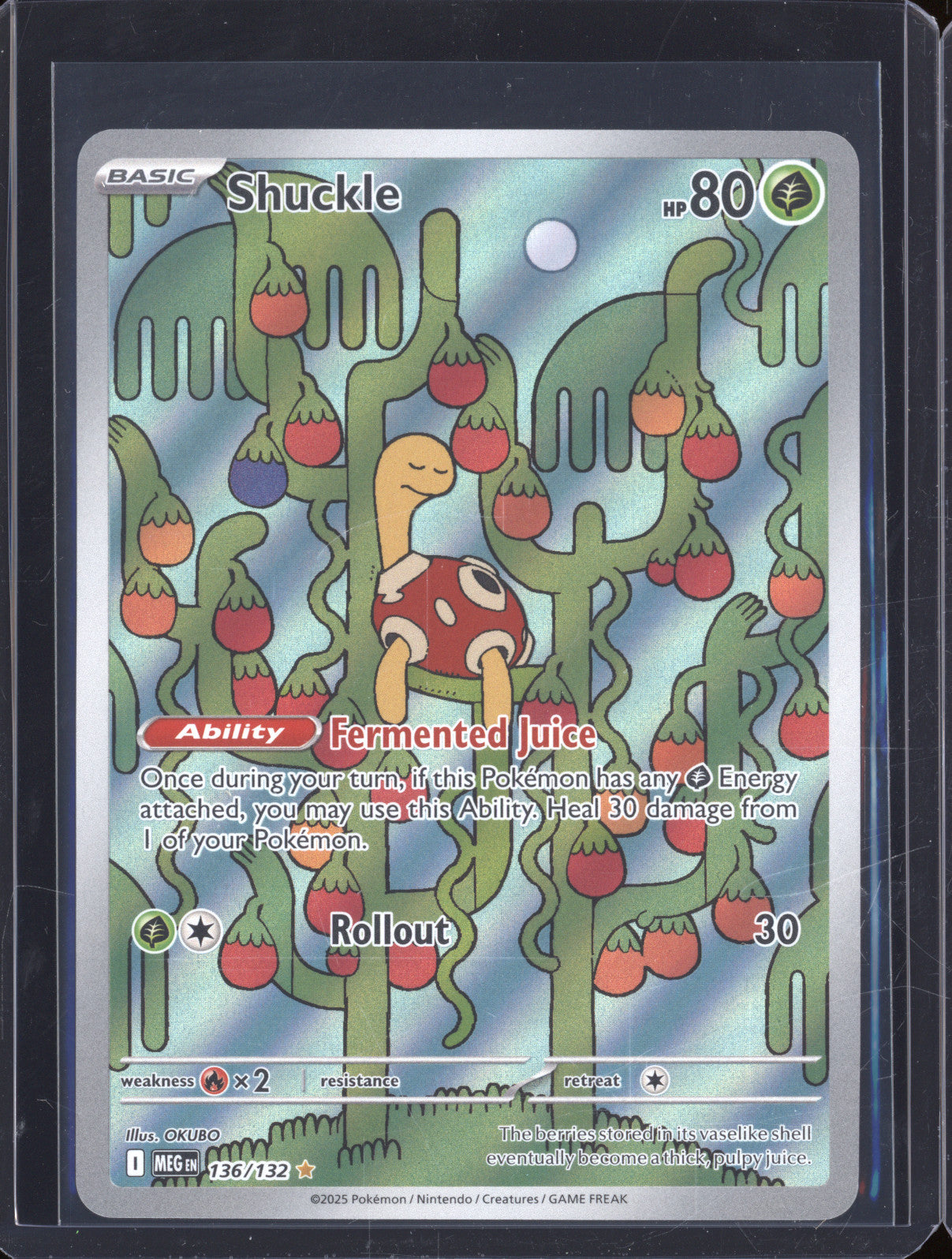 Shuckle 2025 Pokemon Mega Evolutions MEG 136/132 Illustration Rare