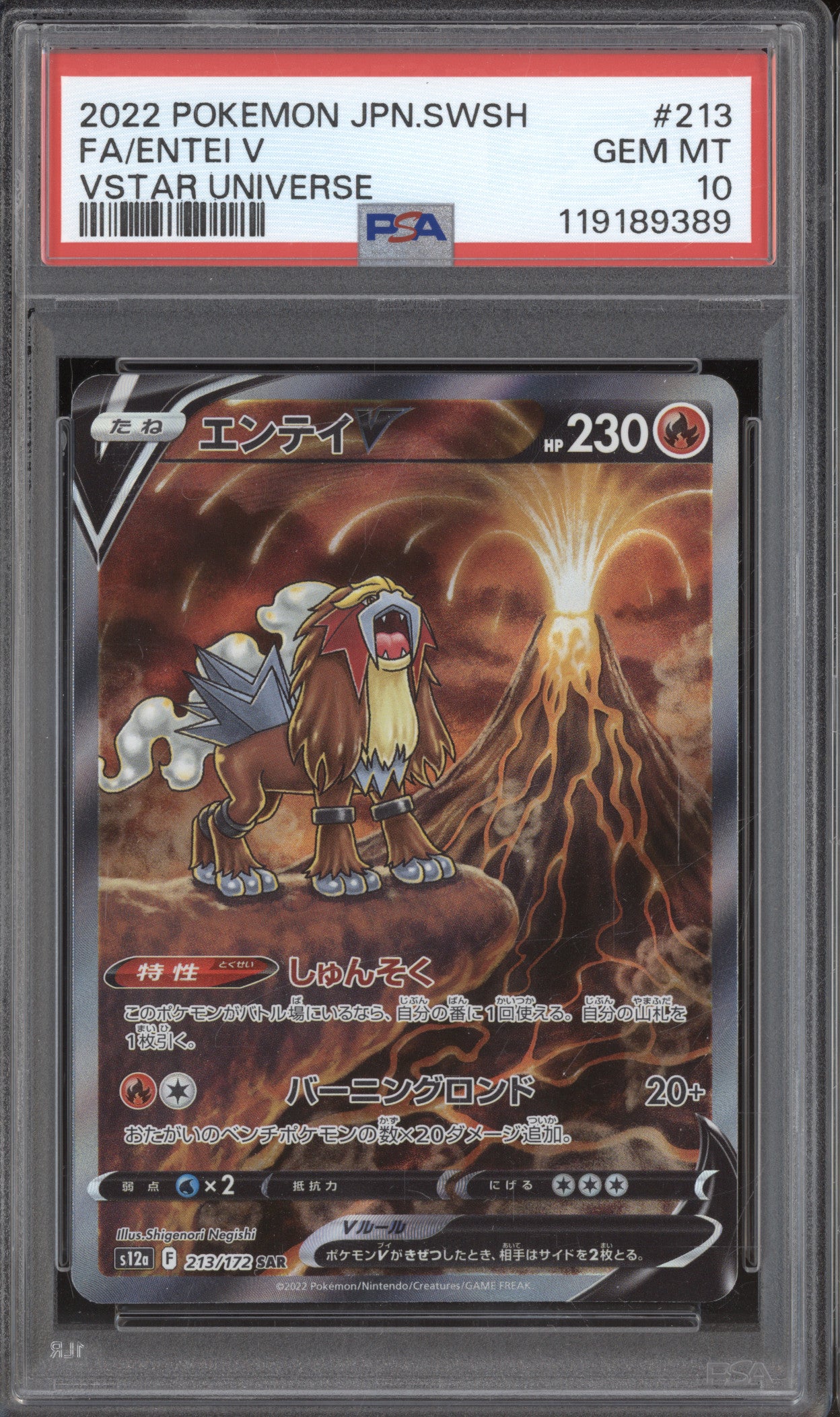 Entei V 2022 Pokemon VSTAR Universe JPN 213/172 Full Art PSA 10