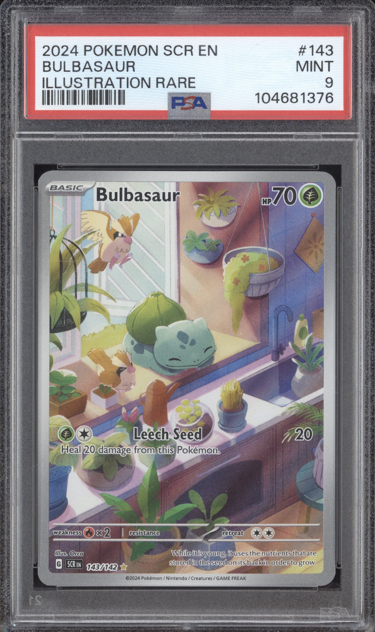 Bulbasaur 2024 Pokemon Stellar Crown 143/142 Illustration Rare PSA 9