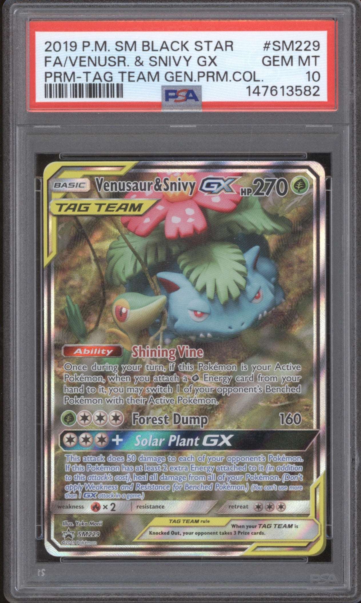 VENUSAUR & SNIVY GX 2019 POKEMON SM BLACK STAR PROMO #SM229 TAG TEAM PSA 10