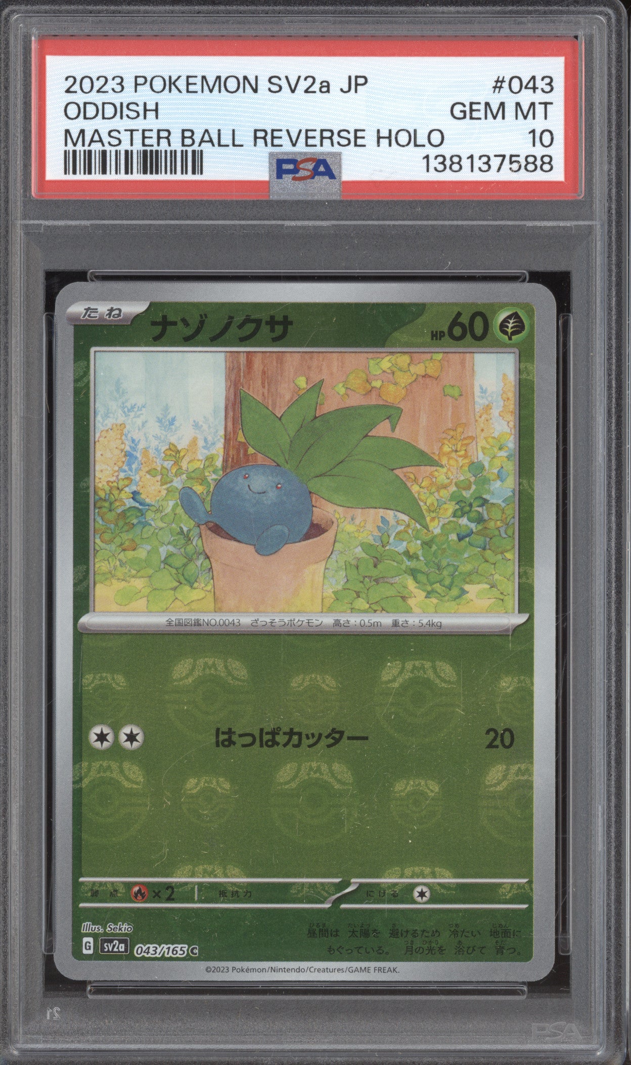 Oddish JP 2023 Pokemon Scarlet & Violet sv2a 043/165 Master Ball Holo PSA 10
