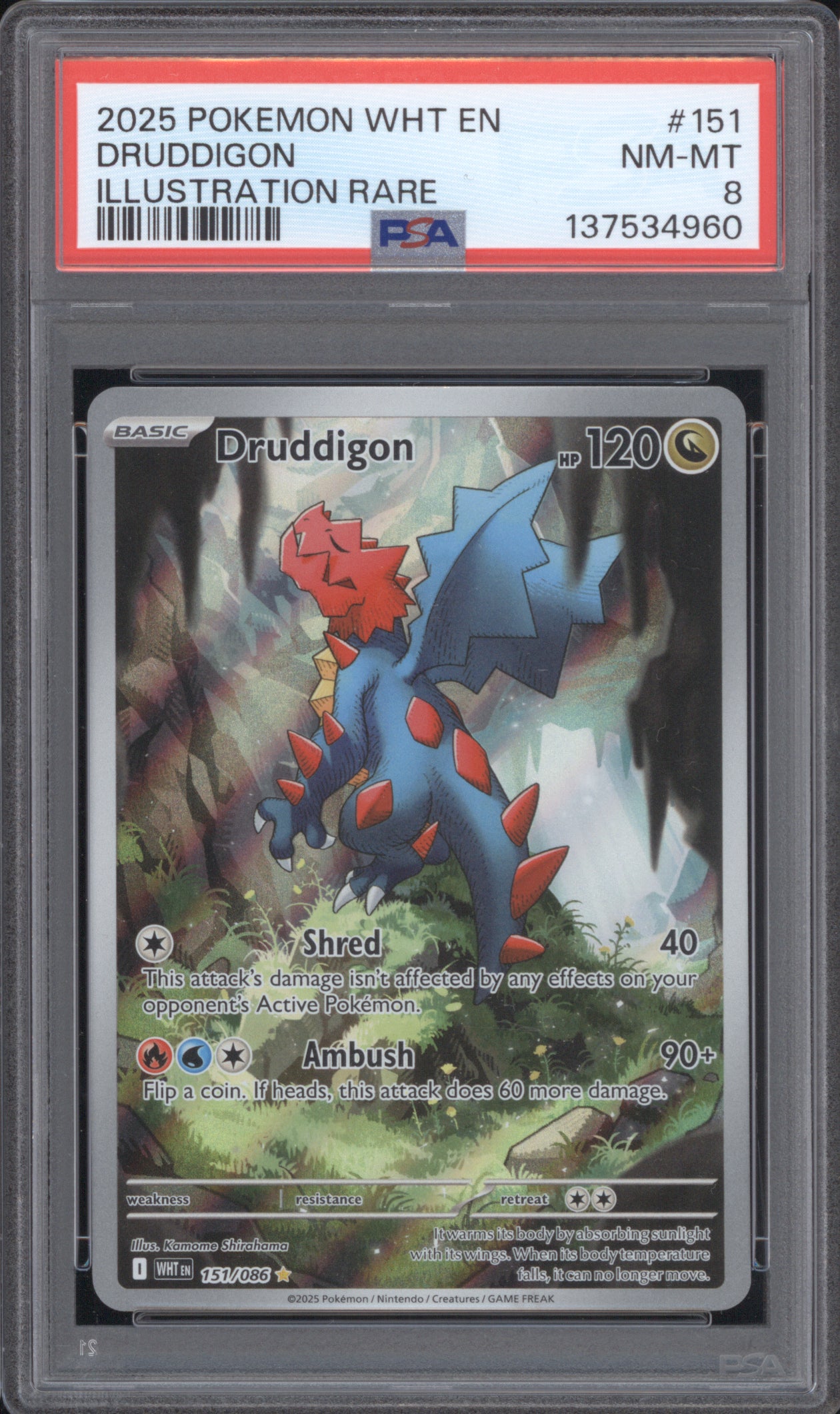 Druddigon 2025 Pokemon White Flare WHT 151/086 Illustration Rare PSA 8