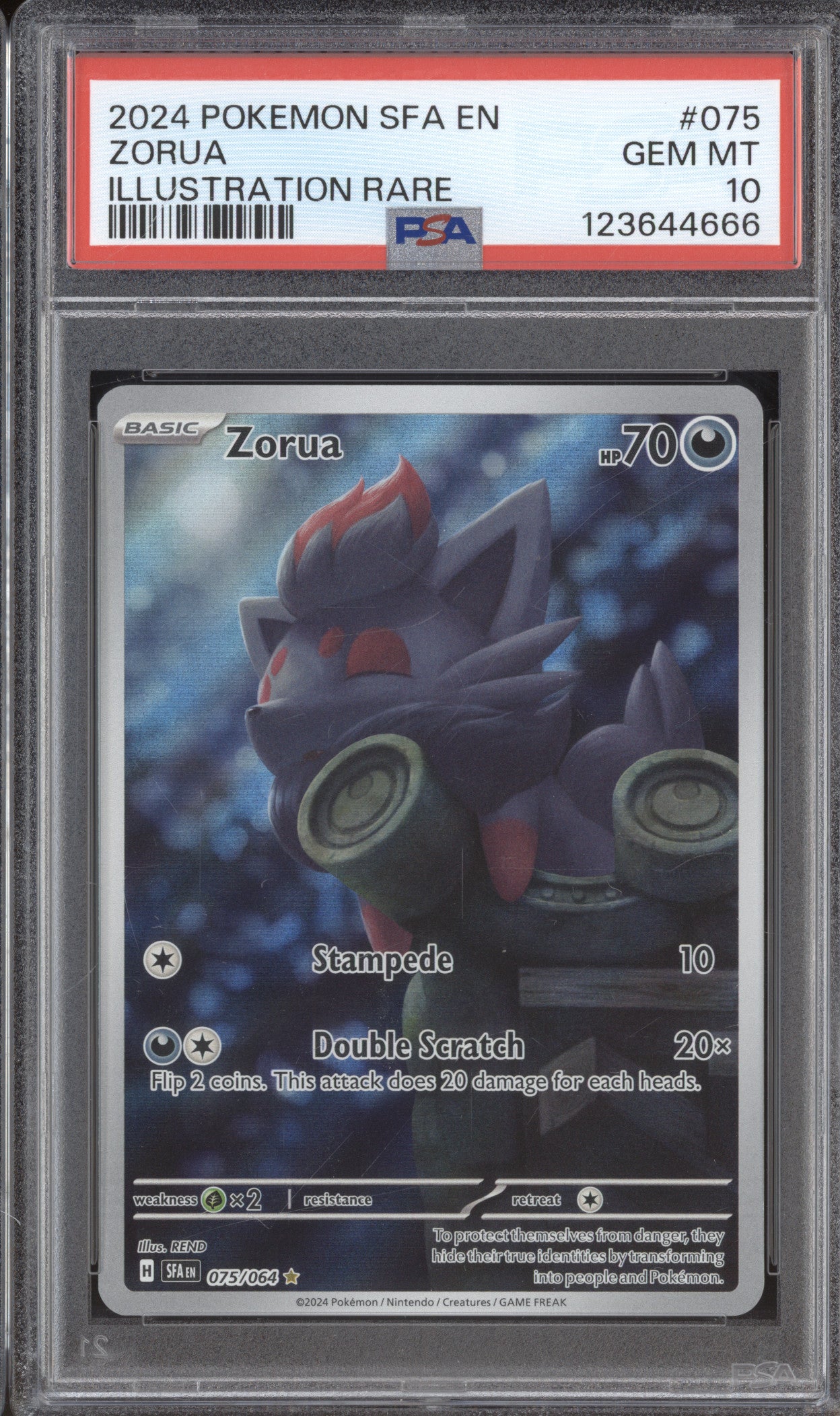 2024 Pokemon Shrouded Fable SFA 075 Zorua Illustration Rare PSA 10