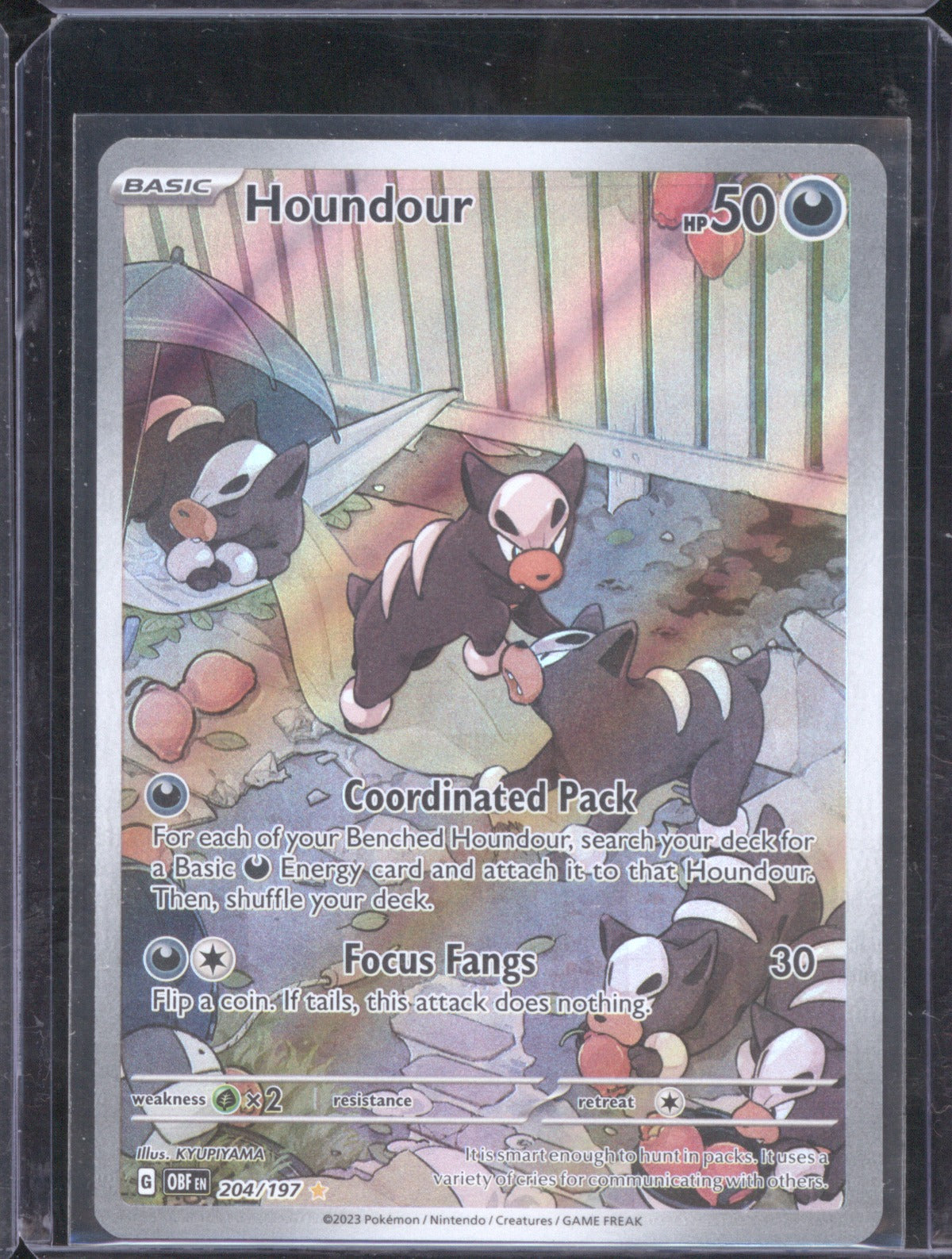Houndour 2023 Pokémon Obsidian Flames 204/197