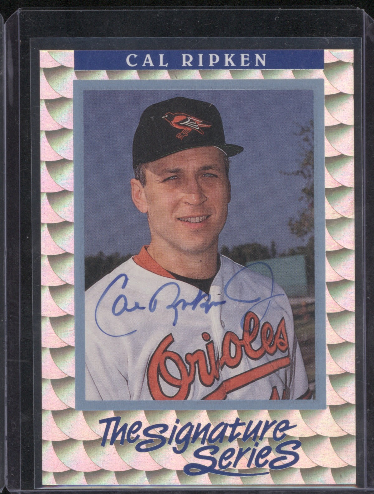 Cal Ripken Jr. 1991 Leaf The Signature Series Auto /5000