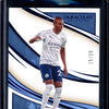 Fernandinho 2020 Panini Immaculate Collection Blue 25/25