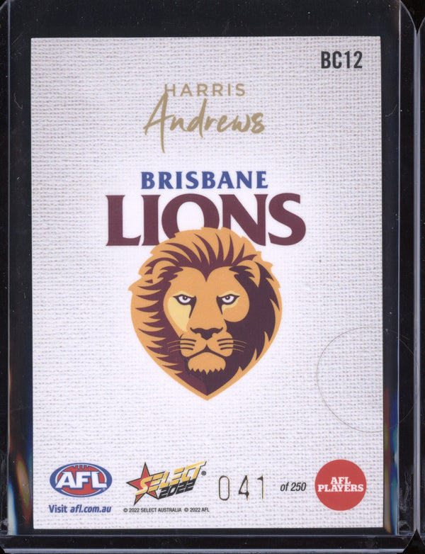 Harris Andrews 2022 Select Footy Stars Blank Canvas 41/250