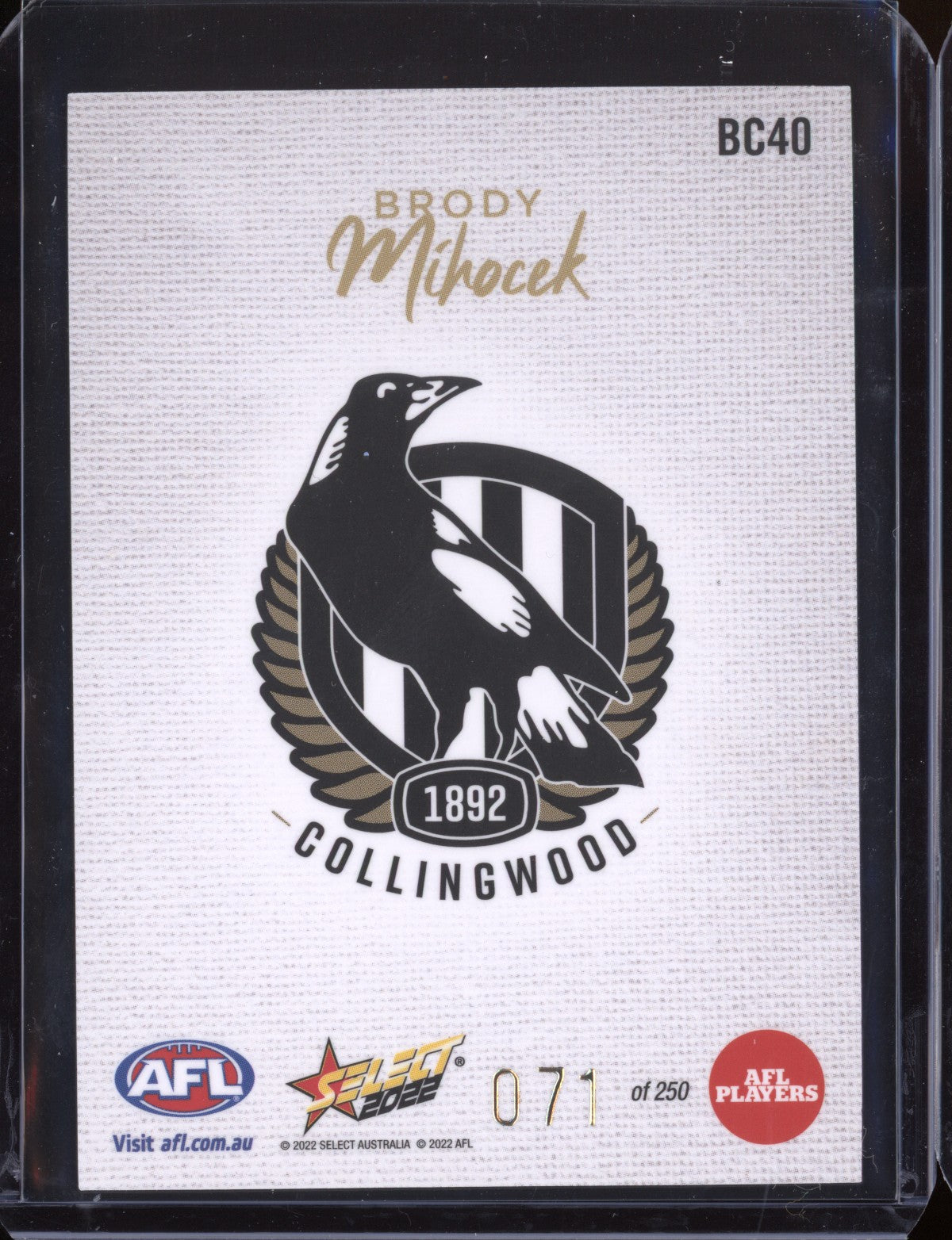 Brody Mihocek 2022 Select Footy Stars Blank Canvas 71/250