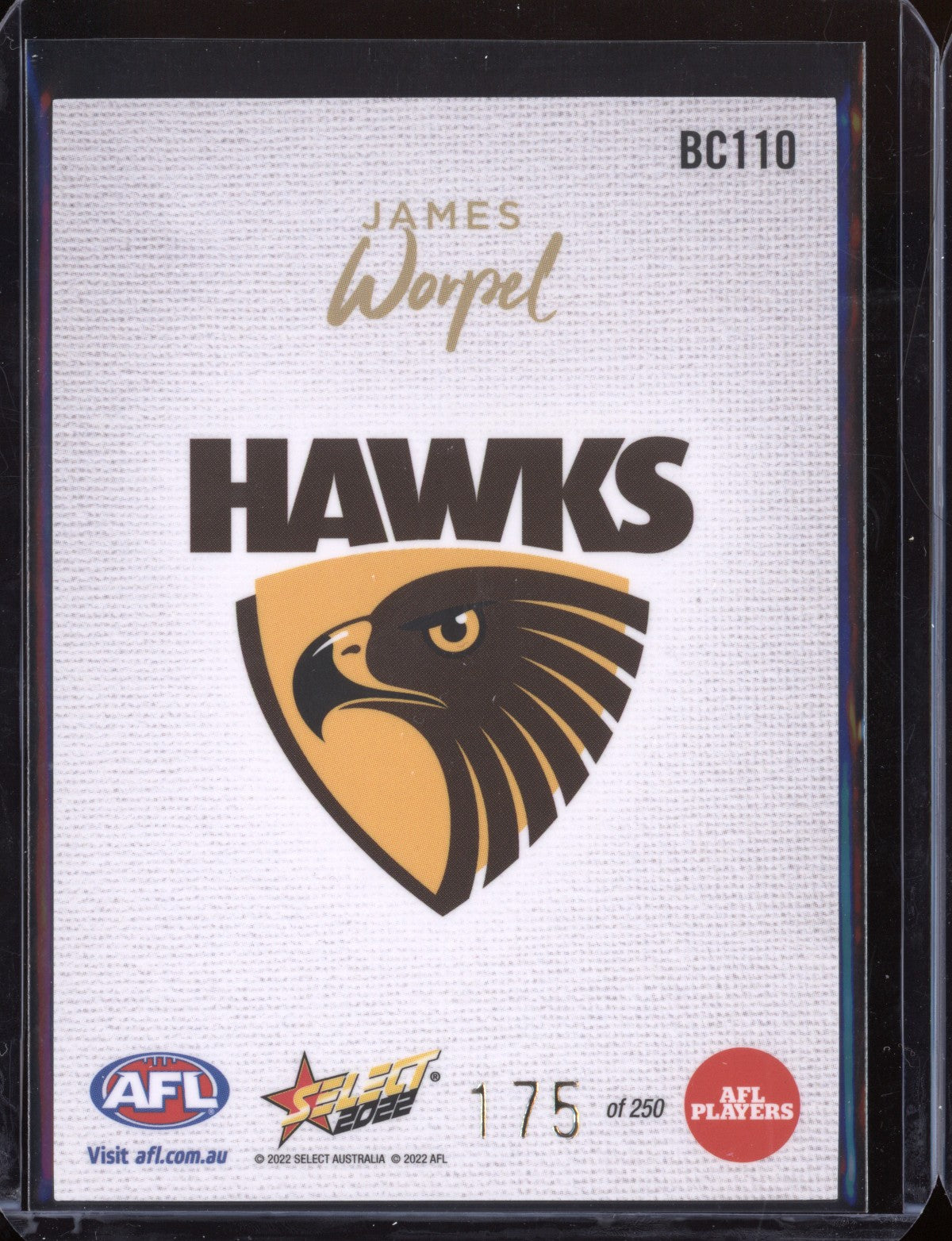 James Worpel 2022 Select Footy Stars Blank Canvas 175/250