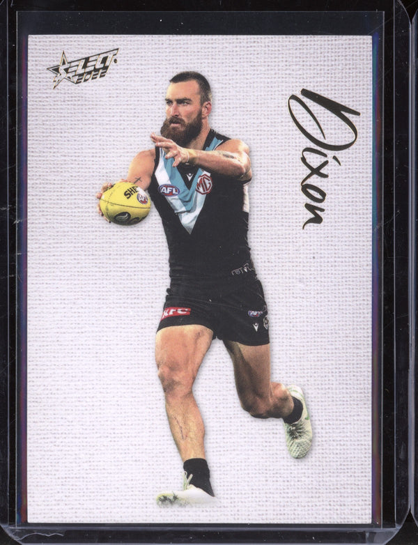 Charlie Dixon 2022 Select Footy Stars Blank Canvas 135/250