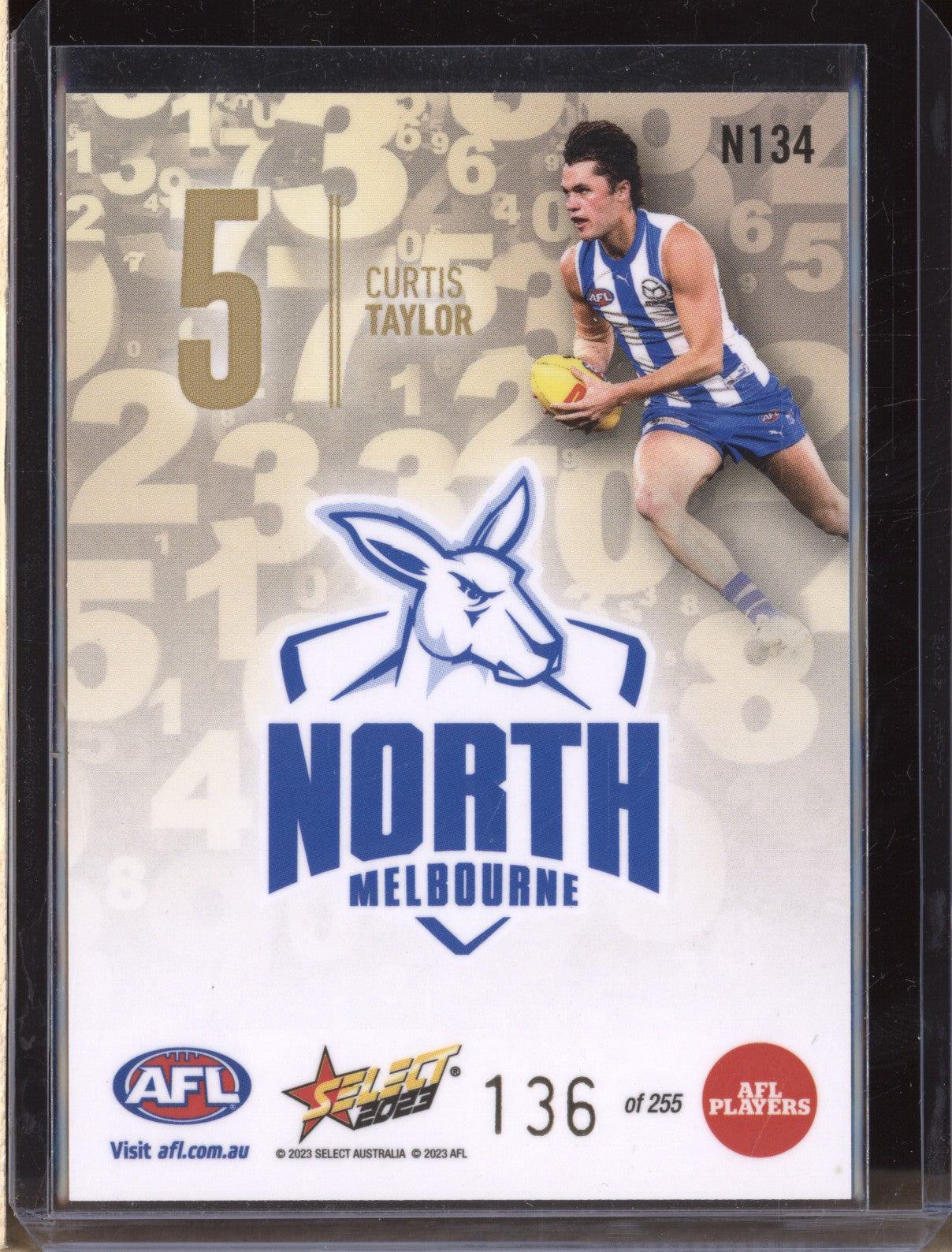 Curits Taylor 2023 Select Footy Stars N134 Numbers Gold 136/255