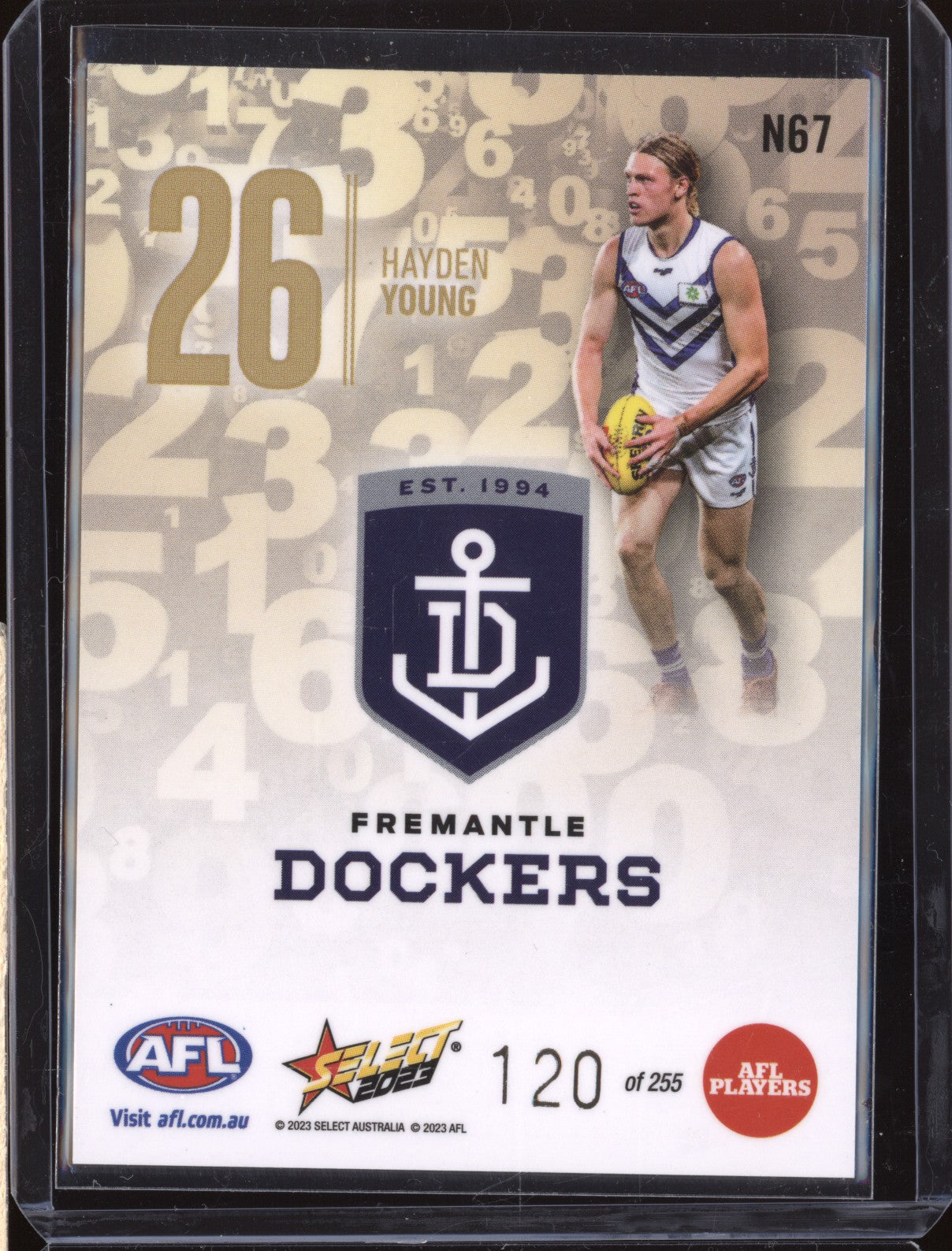 Hayden Young 2023 Select Footy Stars N67 Numbers Gold 120/255