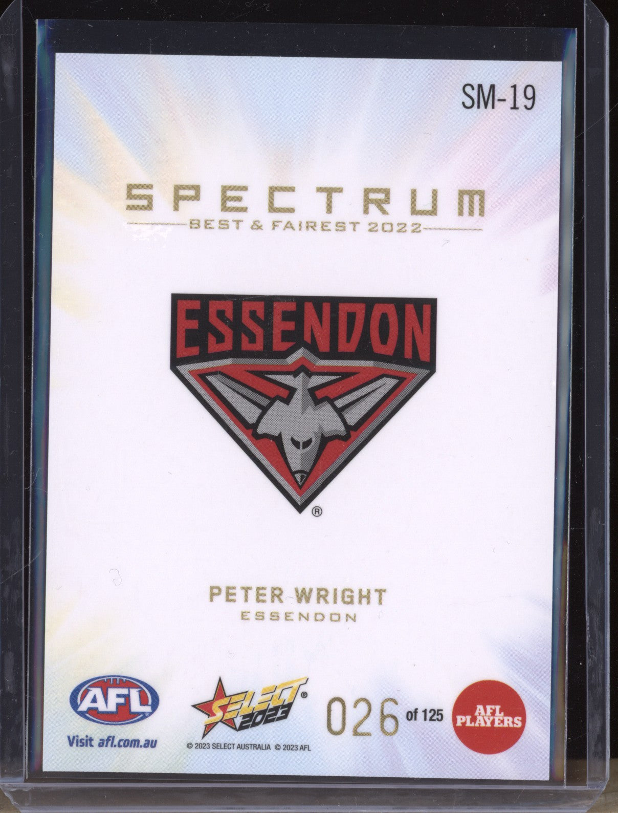 Peter Wright 2023 Select Footy Stars SM-19 Spectrum 2