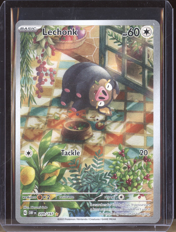 Lechonk 2023 Pokemon Obsidian Flames 209 Illustration Rare