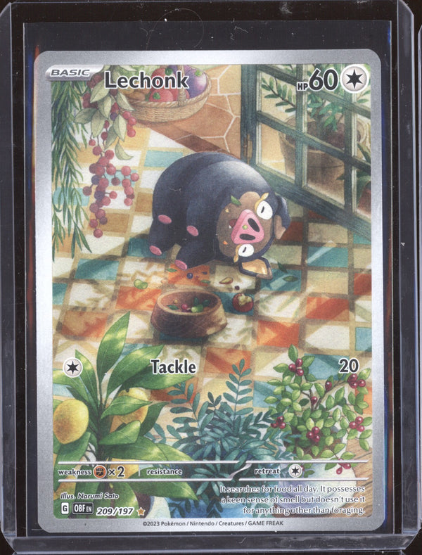 Lechonk 2023 Pokemon Obsidian Flames 209 Illustration Rare