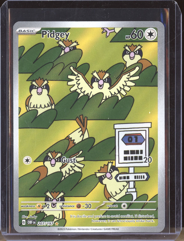 Pidgey 2023 Pokemon Obsidian Flames 207 Illustration Rare