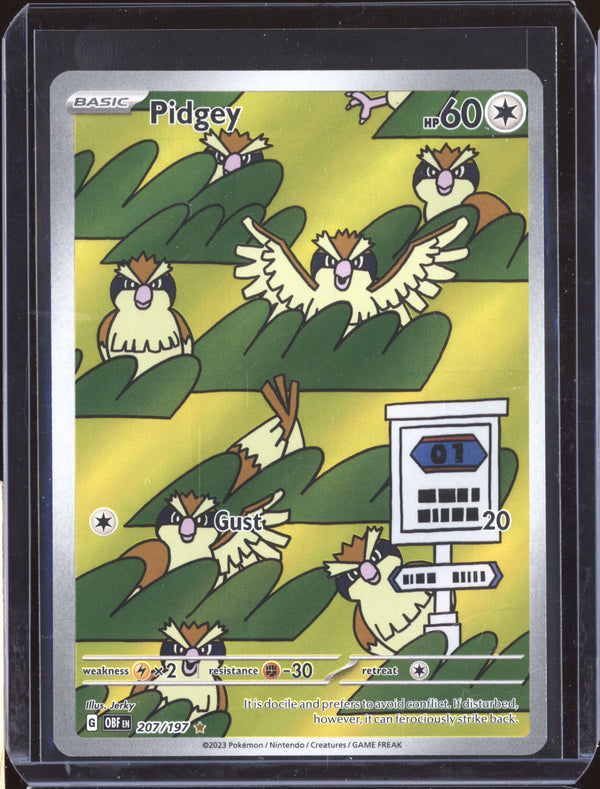 Pidgey 2023 Pokemon Obsidian Flames 207 Illustration Rare