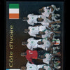 Cote D'Ivoire 2006 Panini Germany World Cup Team